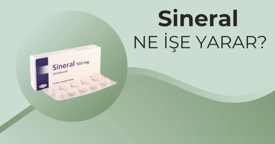 Sineral 500 mg ne işe yarar?